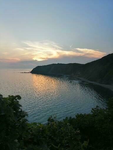 Фото из отзыва от 18.07.2022