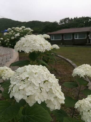 Фото из отзыва от 18.07.2022