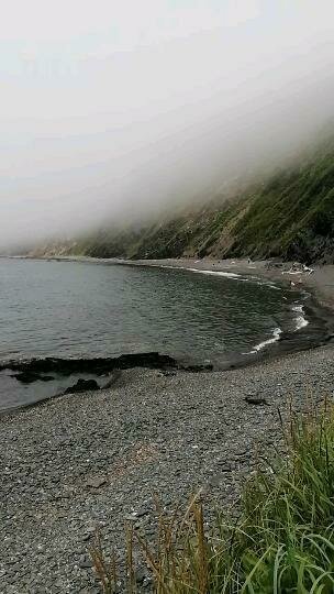 Фото из отзыва от 18.07.2022