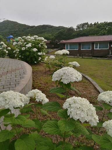 Фото из отзыва от 18.07.2022