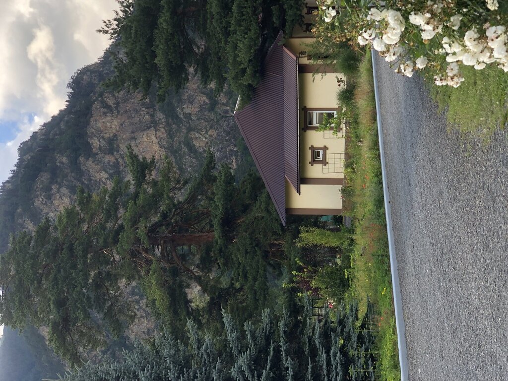 Фото из отзыва от 25.07.2022