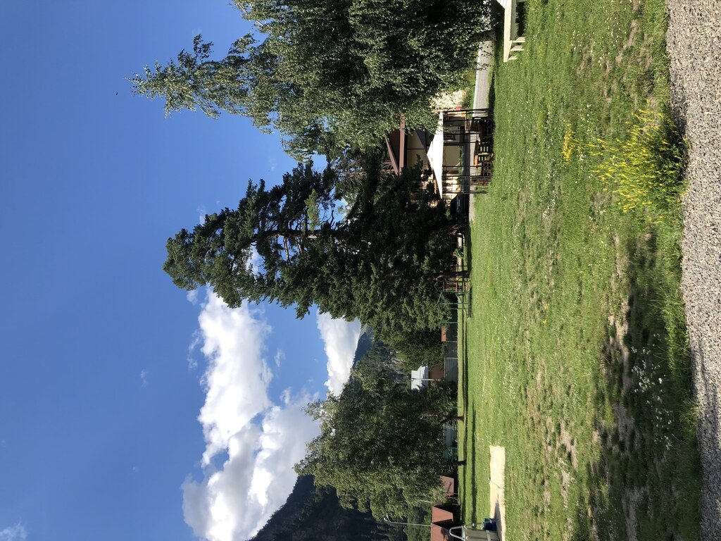 Фото из отзыва от 25.07.2022