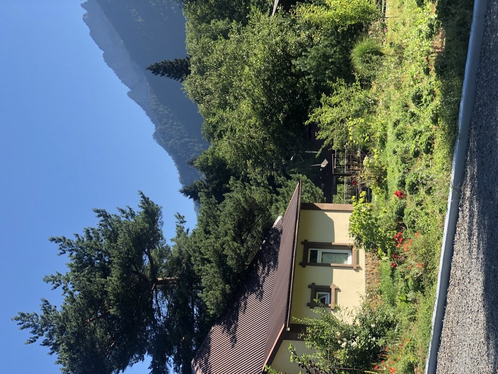 Фото из отзыва от 25.07.2022