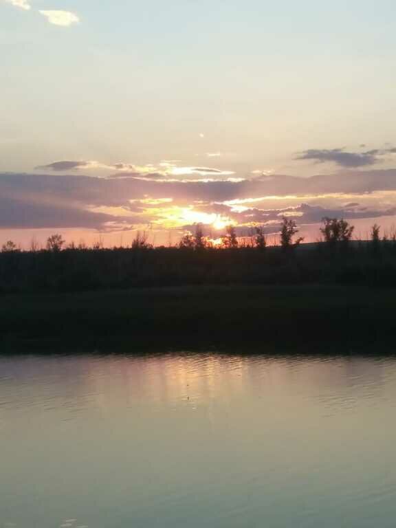 Фото из отзыва от 28.07.2022