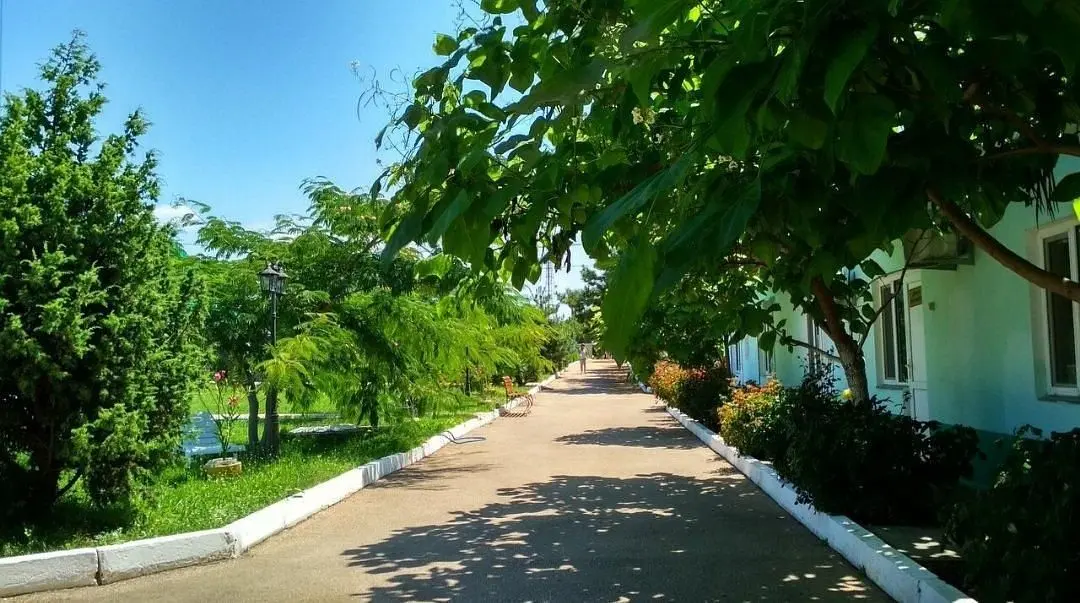 Атлантус, Крым: фото 5