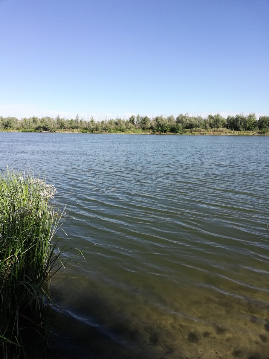 Фото 7 из отзыва о базе отдыха Левбердон