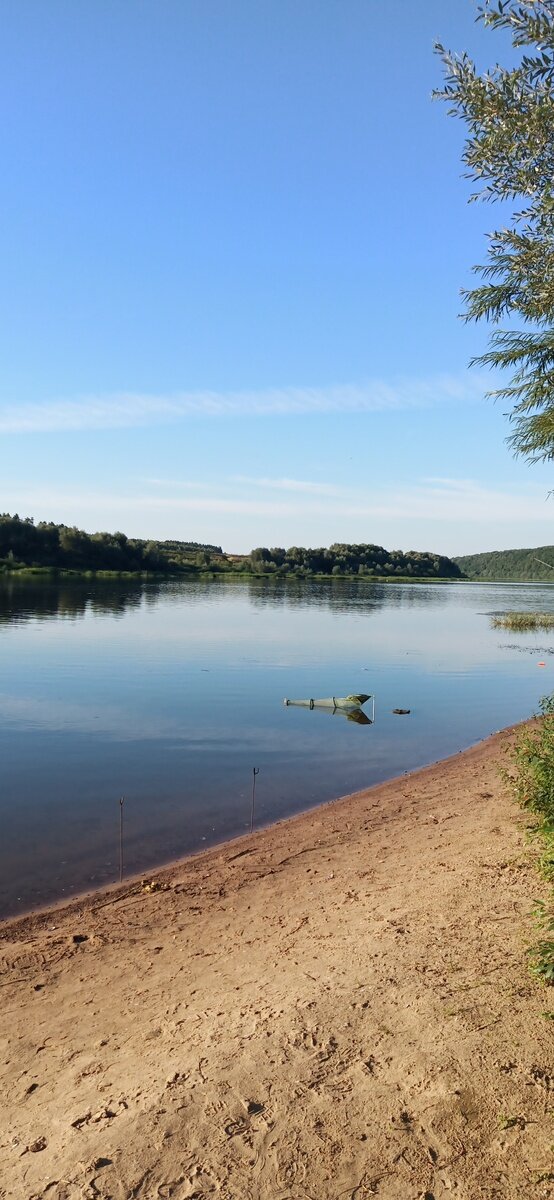 Фото 9 из отзыва о базе отдыха Березовая роща