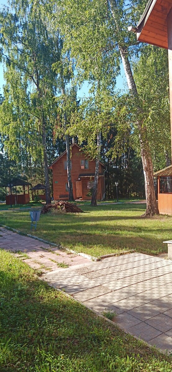 Фото 10 из отзыва о базе отдыха Березовая роща