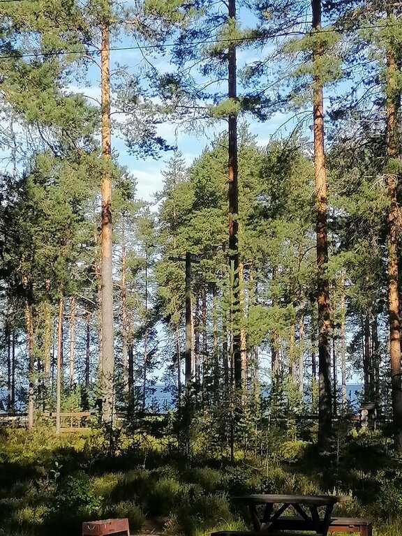 Фото из отзыва от 08.08.2022