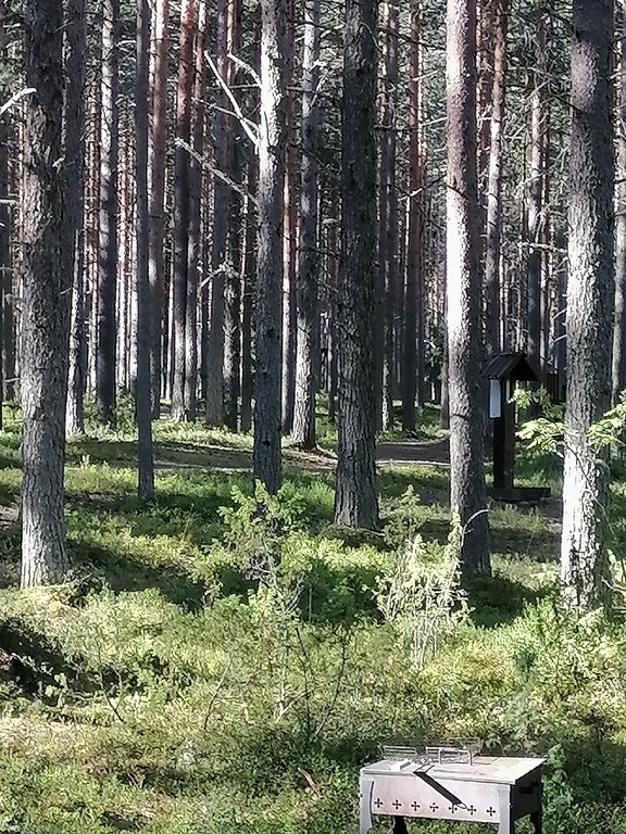 Фото из отзыва от 08.08.2022