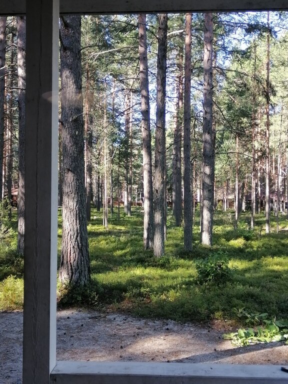 Фото из отзыва от 08.08.2022