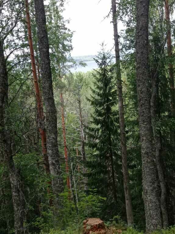 Фото из отзыва от 08.08.2022