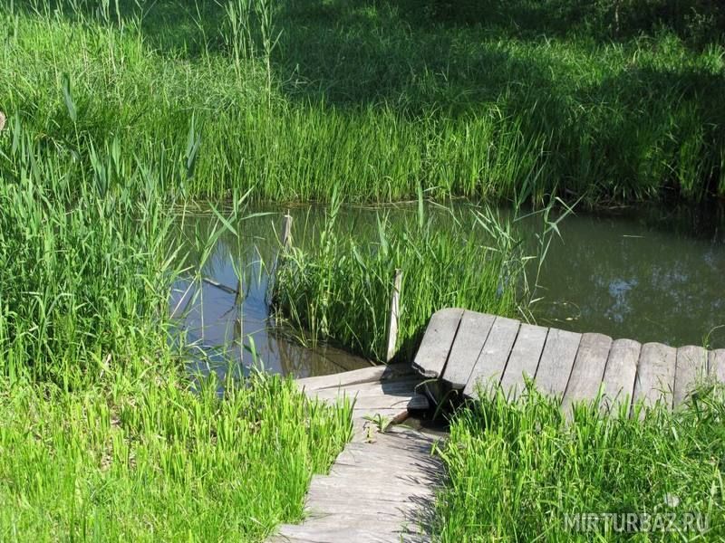 Выход к реке