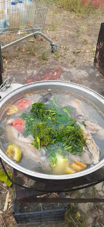 Фото из отзыва от 19.08.2022