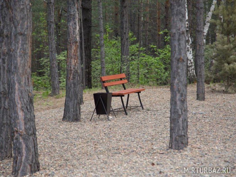 Территория возле беседки