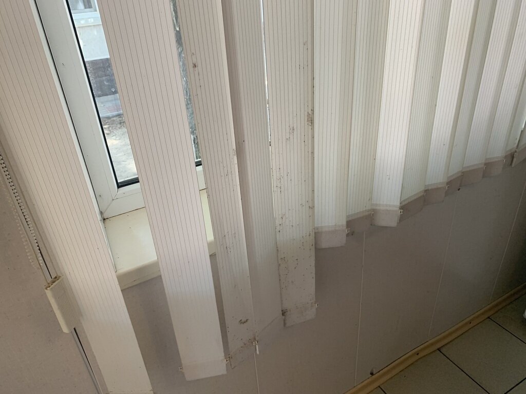 Фото из отзыва от 22.08.2022