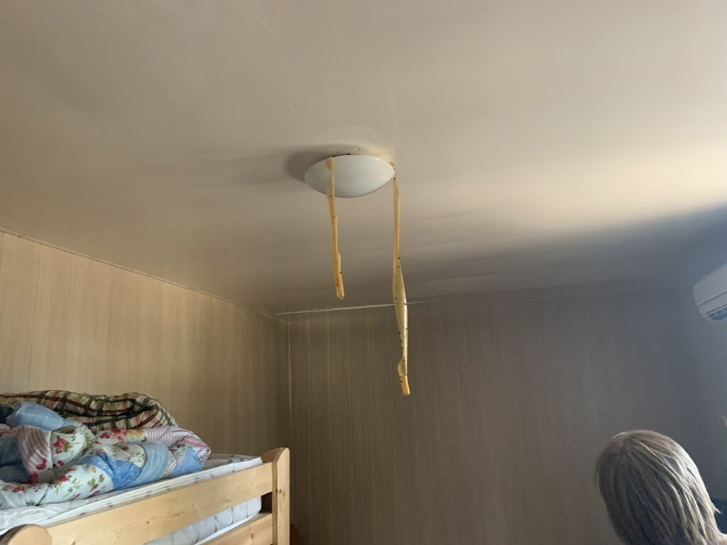 Фото из отзыва от 22.08.2022