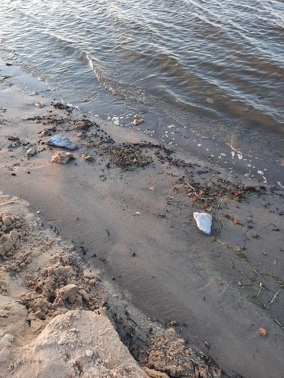 Фото из отзыва от 23.08.2022