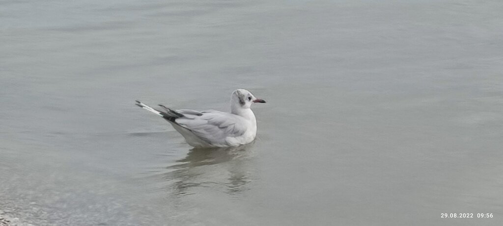 Фото из отзыва от 27.08.2022