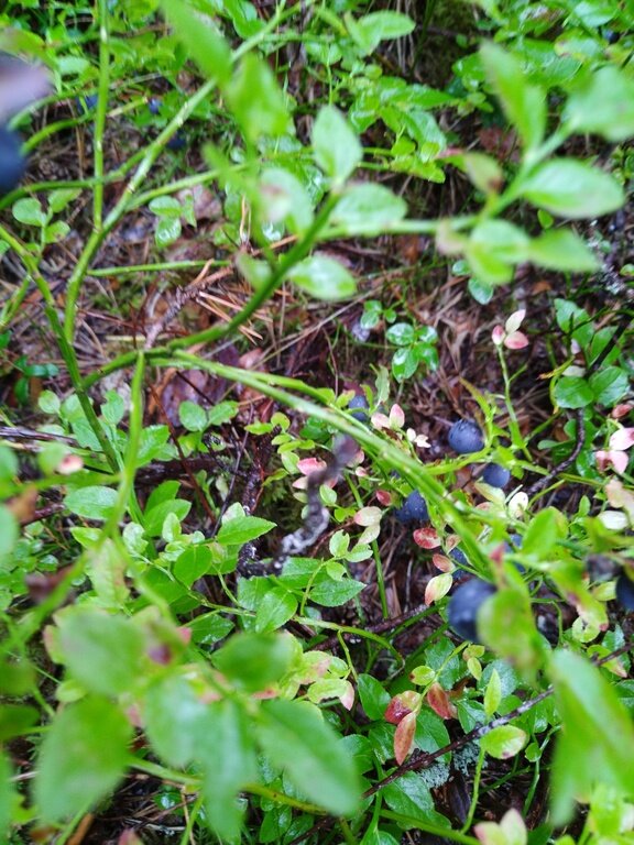 Фото из отзыва от 18.08.2022