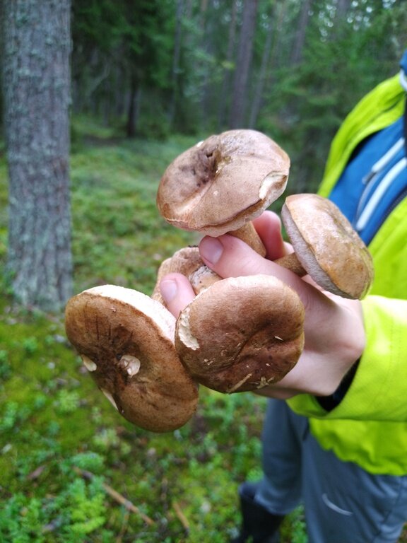 Фото из отзыва от 18.08.2022