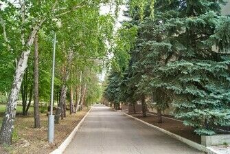 Территория