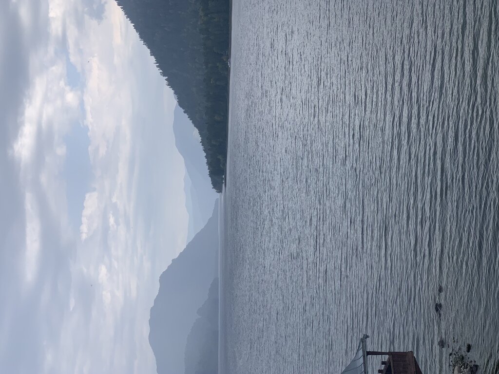 Фото из отзыва от 02.09.2022