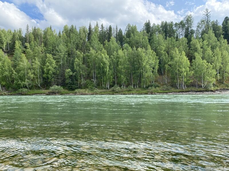 Усть кокса республика алтай фото