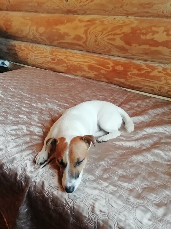 Фото из отзыва от 01.09.2022