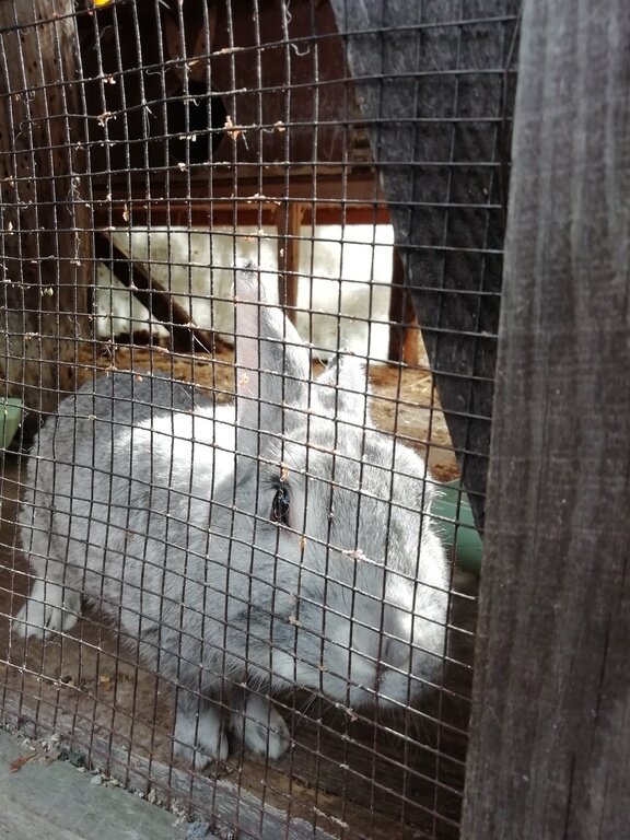 Фото из отзыва от 01.09.2022