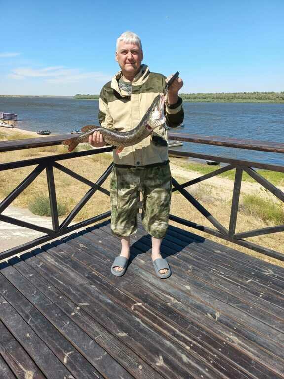 Фото из отзыва от 25.08.2022