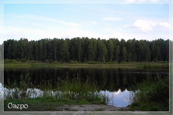 Чистое озеро | Обские зори, Новосибирская область