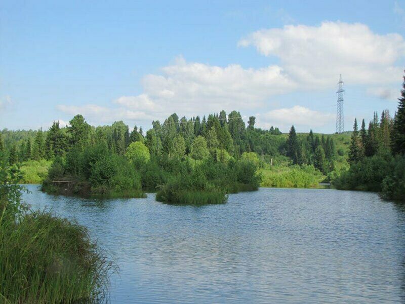Река | Кузнецовых, Алтайский край