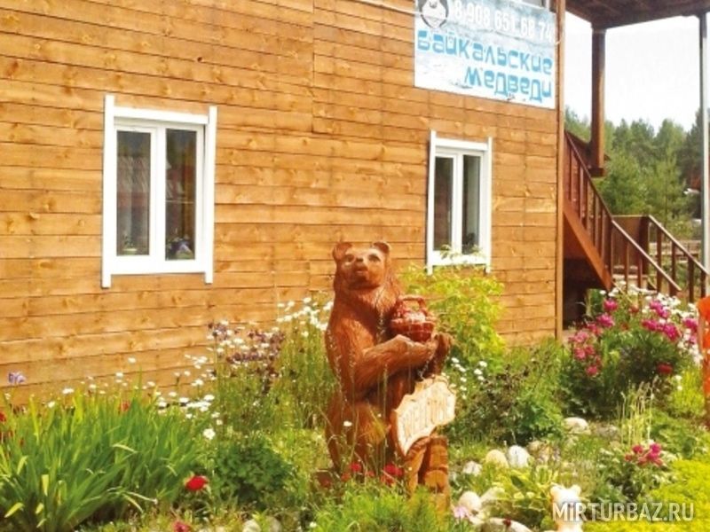 Байкальские медведи | Байкальские медведи, Иркутская область