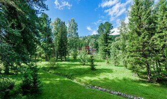 Алтай Резорт, Горный Алтай (Республика Алтай): фото 5