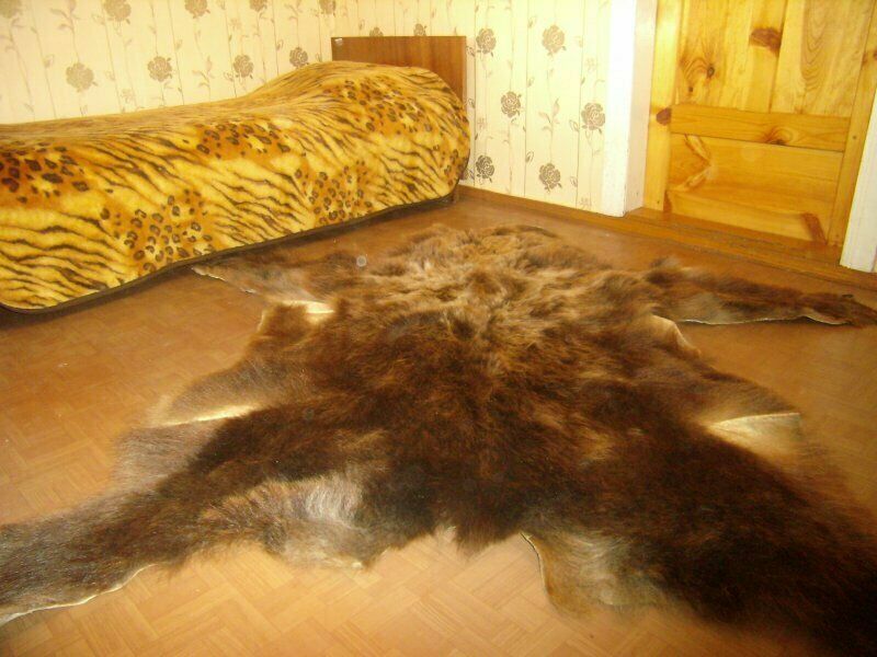 Шкура убитого медведя | семьи Котковых, Алтайский край