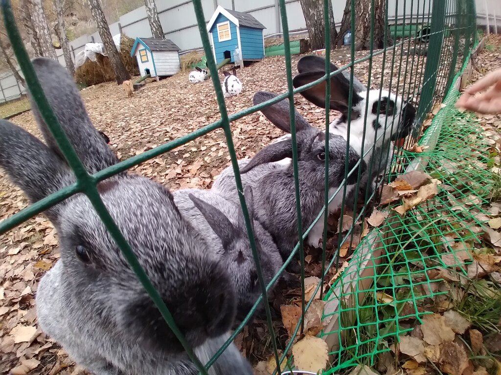 Фото из отзыва от 03.10.2022