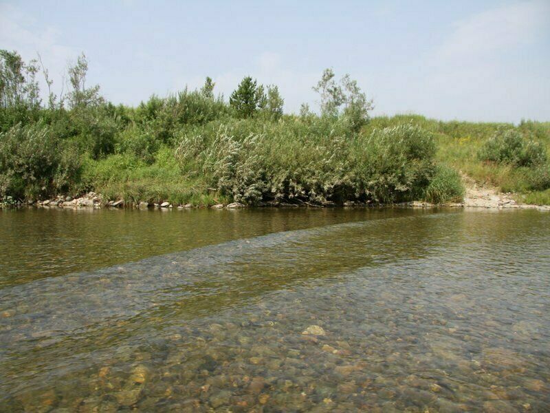 Река | Лагутка, Алтайский край