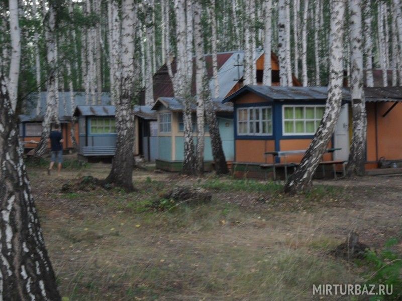 Размещение среди деревьев | Заря-ЧТЗ, Челябинская область