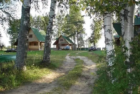 Лесная деревня-Сить, Ярославская область: фото 2