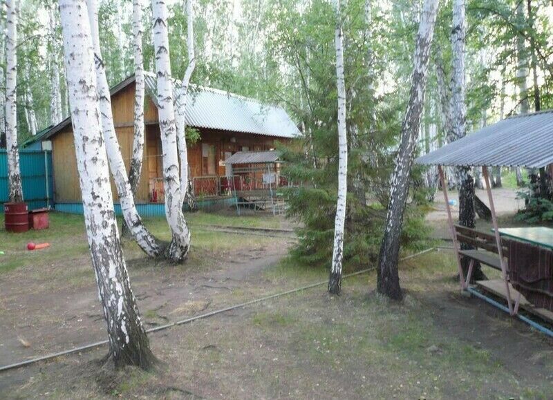 Среди деревьев | Соловьиный мыс, Челябинская область