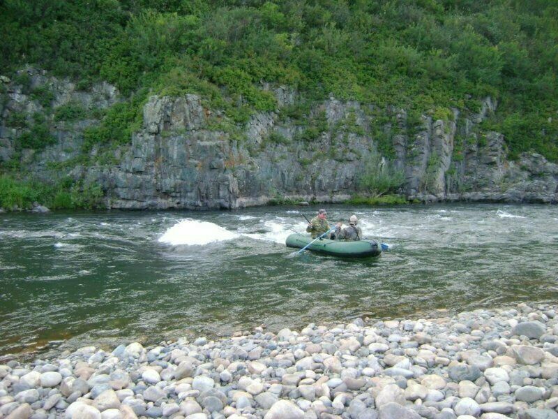 Река | Зеленый берег, Алтайский край