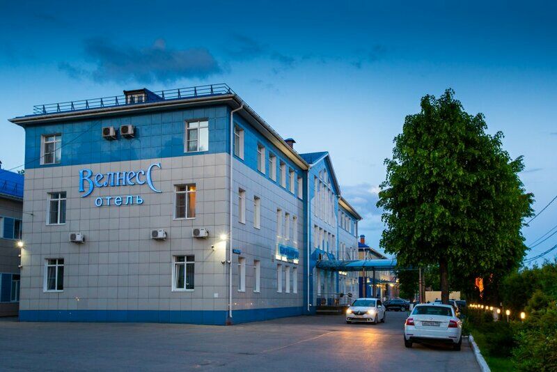 Отель Велнесс, Тульская область, Тула
