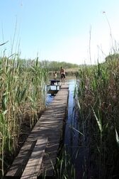 Пристань