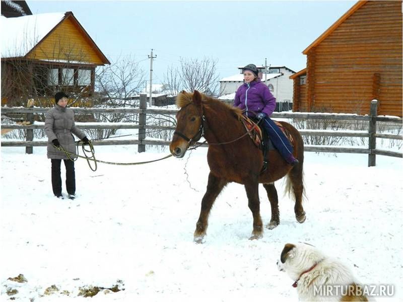 Верхом на лошаде