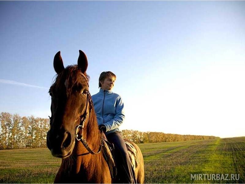 Верхом на лошаде