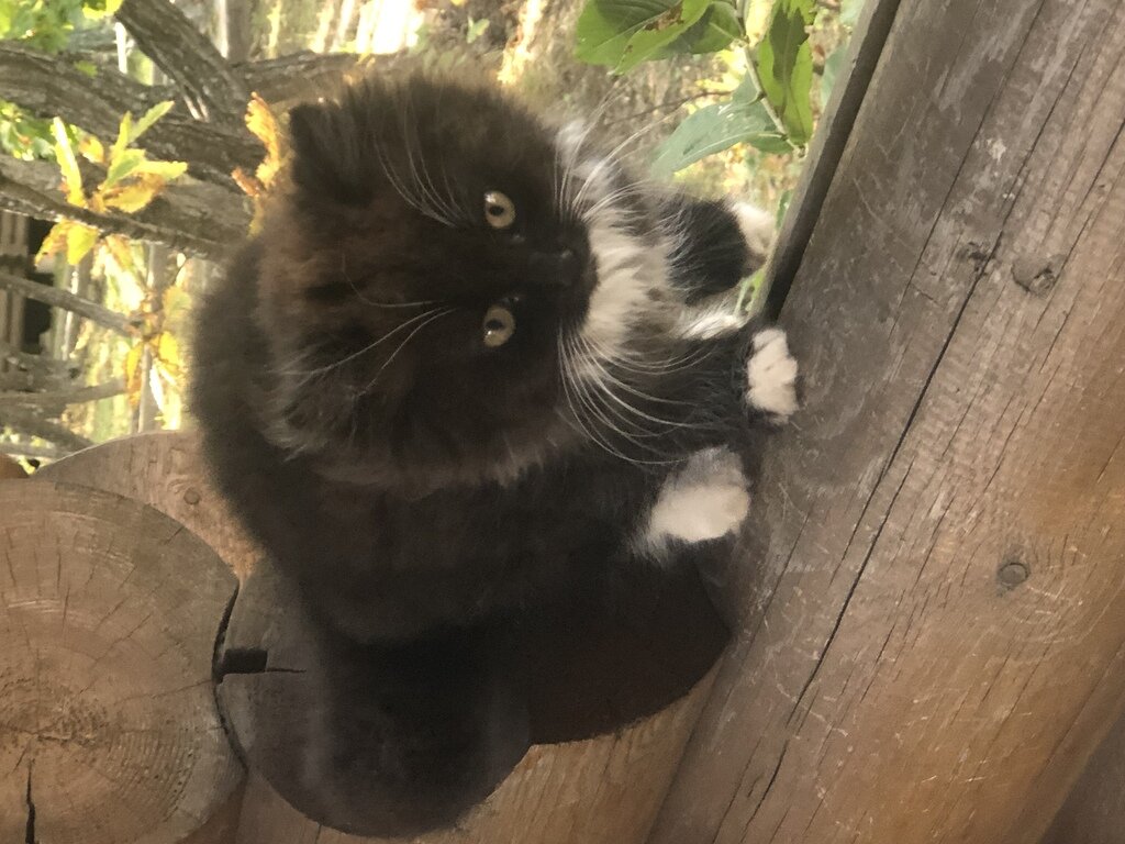 Фото из отзыва от 29.09.2022