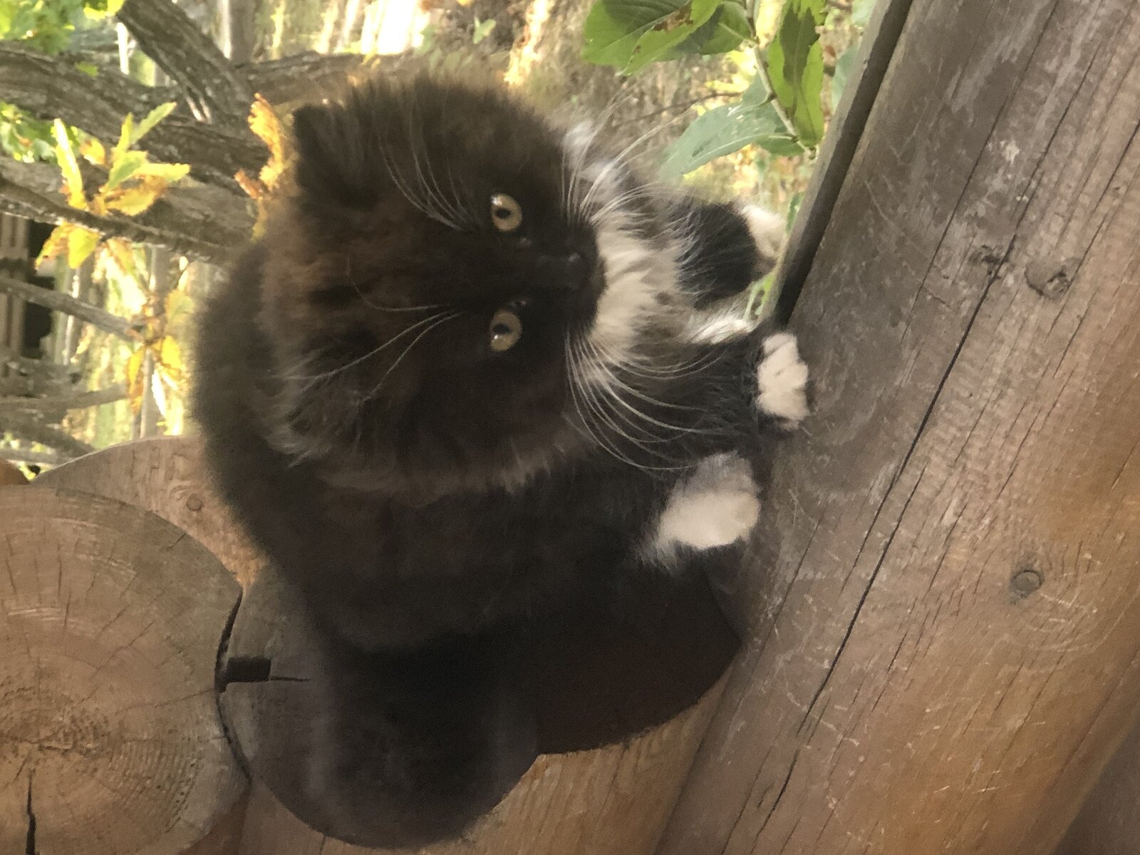 Фото 1 из отзыва о базе отдыха Тунгус