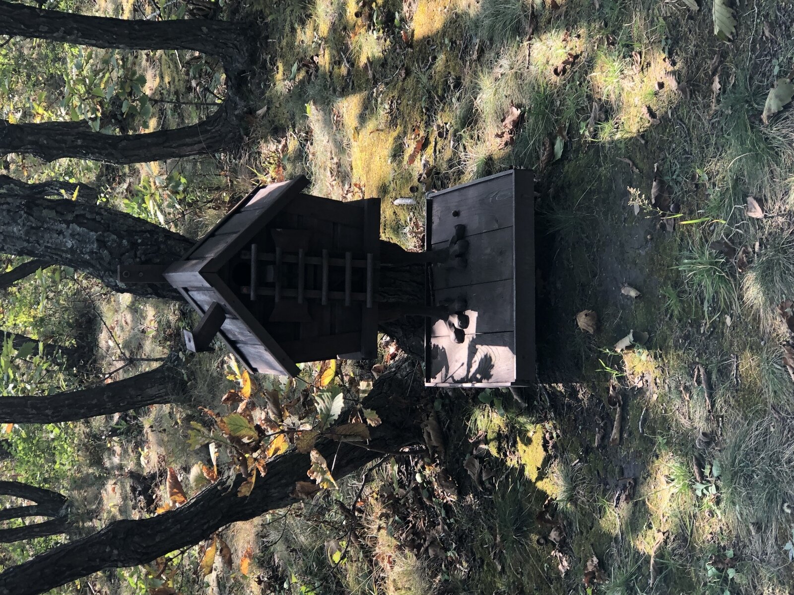 Фото 2 из отзыва о базе отдыха Тунгус