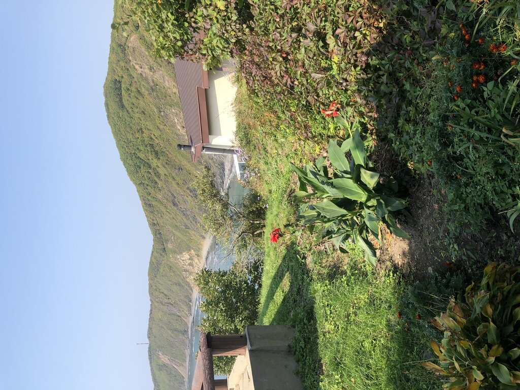 Фото из отзыва от 29.09.2022